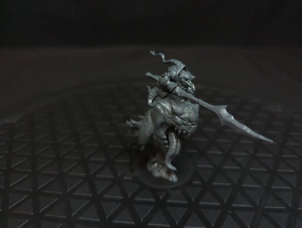 Age of Sigmar Gloomspite Gitz Loonboss on Giant Cave Squig x1