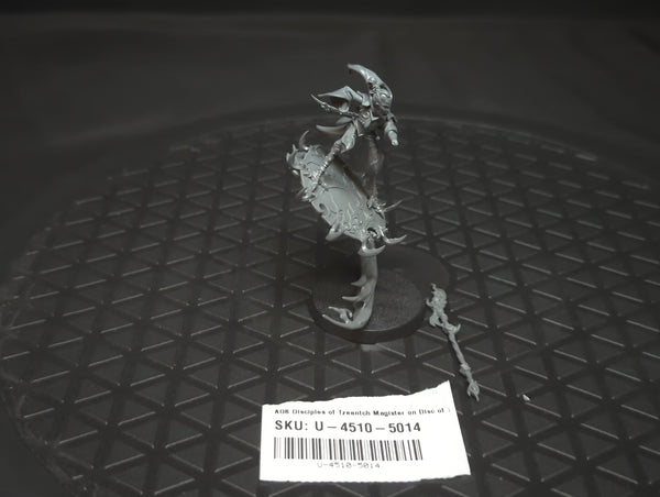 Age of Sigmar Disciples of Tzeentch Magister on Disc of Tzeentch x1