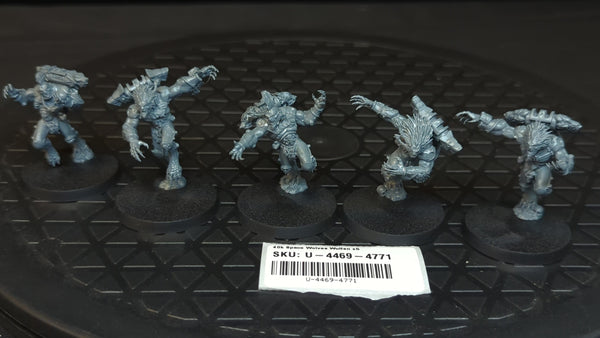 Warhammer 40k Space Wolves Wulfen x5