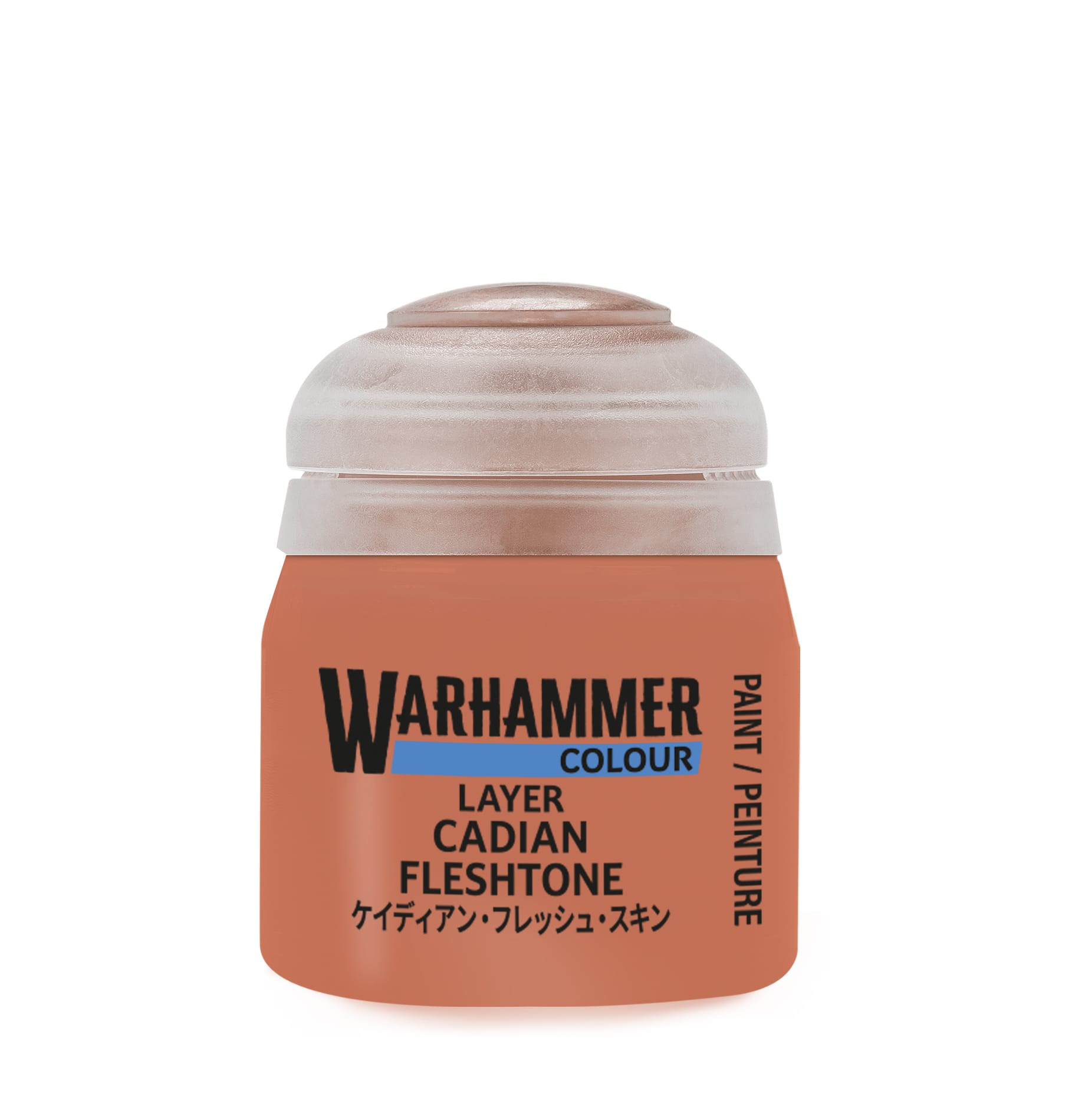 Warhammer Colour Layer: Cadian Fleshtone