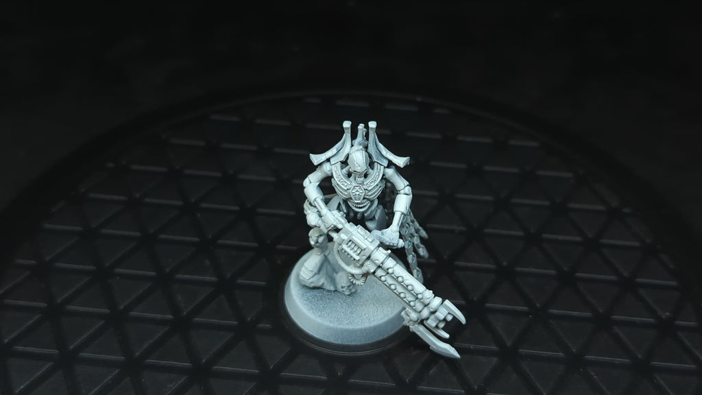 Warhammer 40k Necrons Royal Warden x1