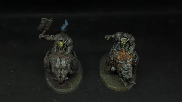Age of Sigmar Orruk Warclans Gore-Gruntas x2 Painted