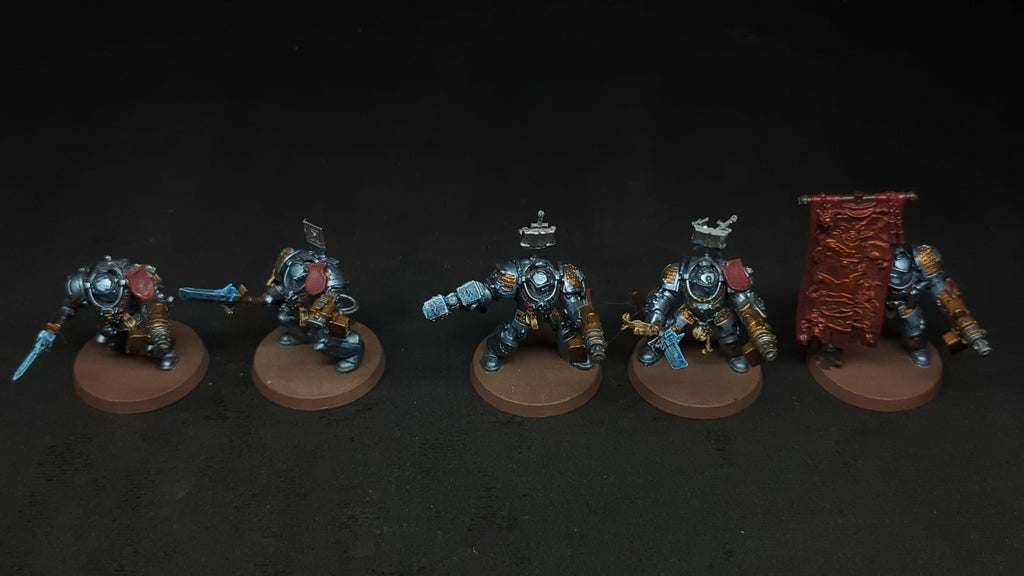 Warhammer 40k Grey Knights Paladins Squad x5 Painted