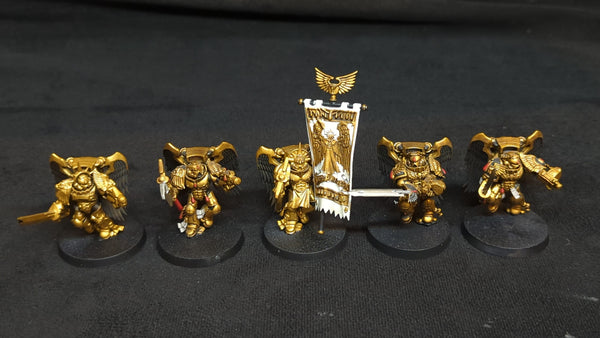 Warhammer 40k Blood Angels Sanguinary Guard x5 Painted