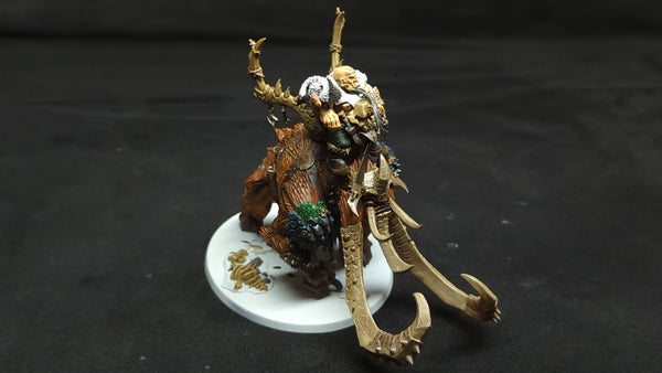 Age of Sigmar Orks Huskard on Thundertusk x1