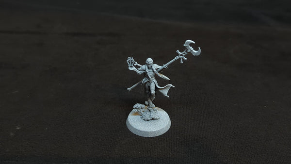 Age of Sigmar Lumineth Realm-Lords Scinari Enlightener x1