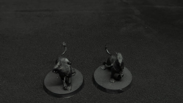 Age of Sigmar Stormcast Eternals Gryph Hounds x2