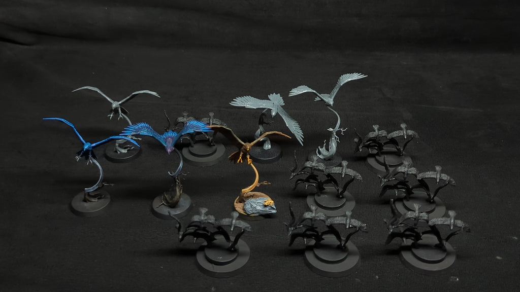 Age of Sigmar Aetherwings  and birds x12