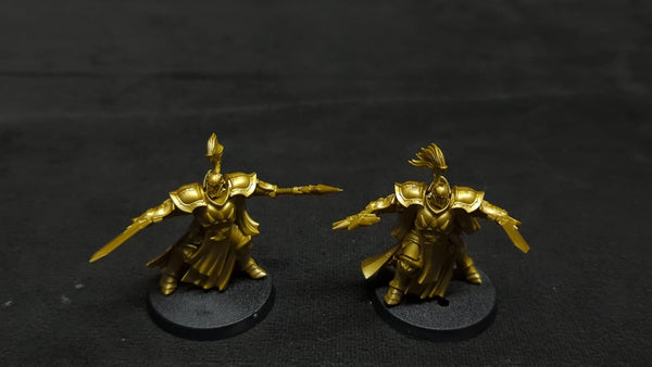 Age of Sigmar Stormcast Eternals Evocators x2
