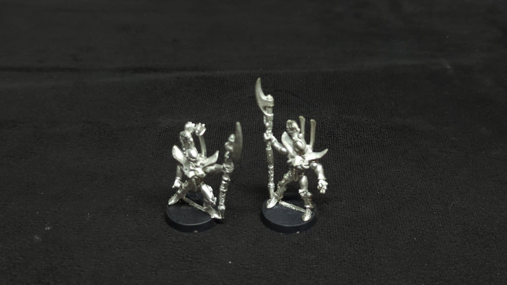 Warhammer 40k Drukhari Incubi x2