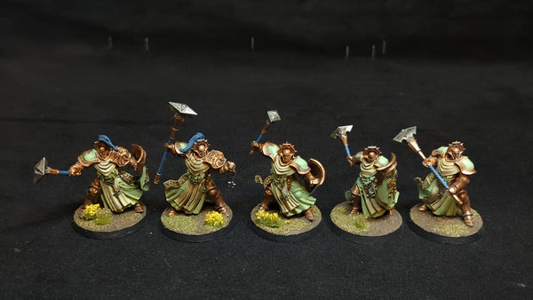 Age of Sigmar Stormcast Eternals Sequitors x5 Painted