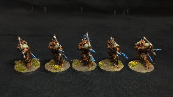 Age of Sigmar Stormcast Eternals Judicators x5 Painted