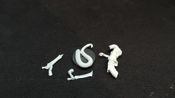 Warhammer 40k Drukhari : Sslyth (Finecast) x1