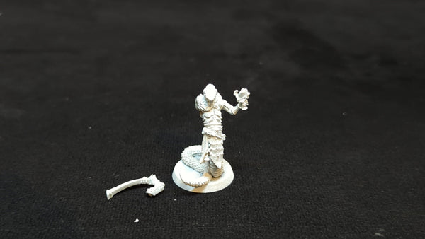 Warhammer 40k Drukhari : Sslyth (Finecast) x1
