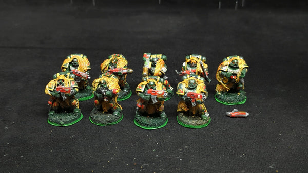 Warhammer 40k Space Marines Tactical Squad x9 OOP Painted