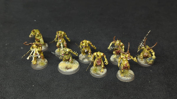 Warhammer Plaguebearers of Nurgle x9 Painted