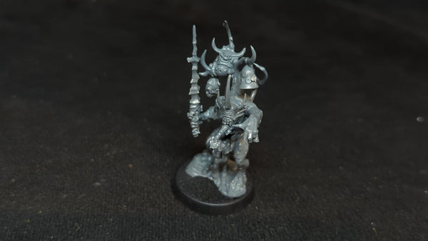 Age of Sigmar Nurgle Poxbringer x1