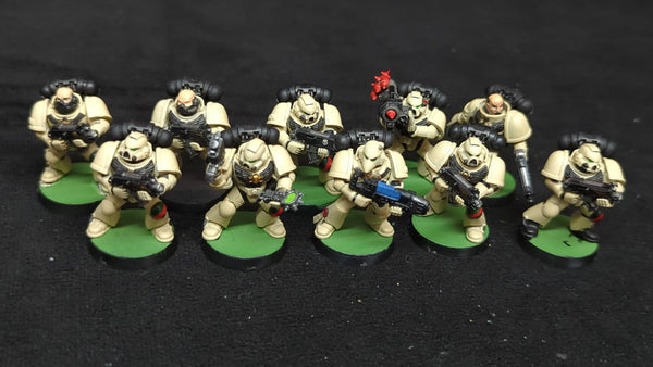 Warhammer 40k Space Marines Tactical Squad x10 Painted