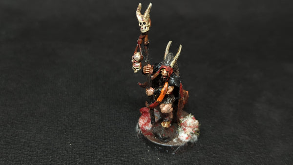The Old World Beastman Shaman x1 Painted