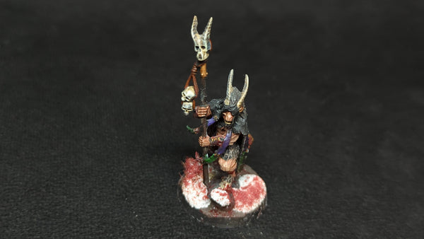 The Old World Beastman Shaman x1 Painted