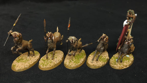 Age of Sigmar The Old World Beastman Breyherds Centigors x5 Painted