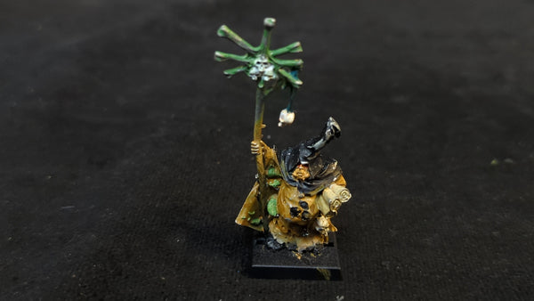 The Old World Warriors of Chaos Nurgle Sorcerer x1