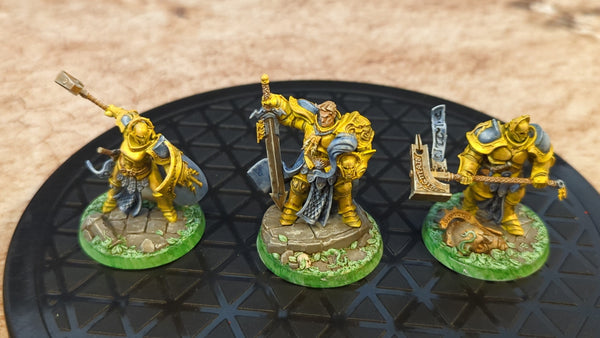 Warhammer Underworlds AOS Steelhearts Champions (Warband only) x3 OOP Painted