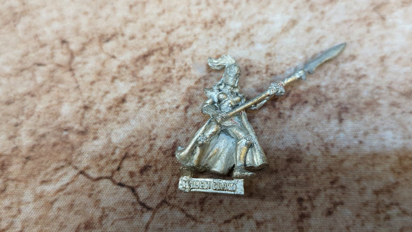 The Old World High Elf Maiden Guard (metal) x1