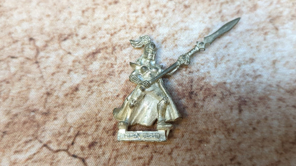 The Old World High Elf Maiden Guard (metal) x1