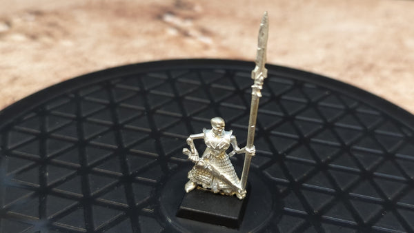 The Old World Cursed Company Standard Bearer x1