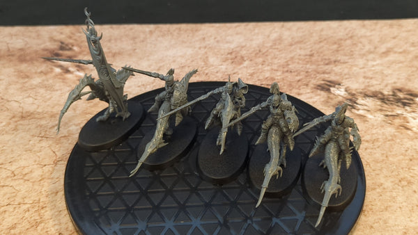 Age of Sigmar Hedonites of Slaanesh Hellstriders of Slaanesh x5