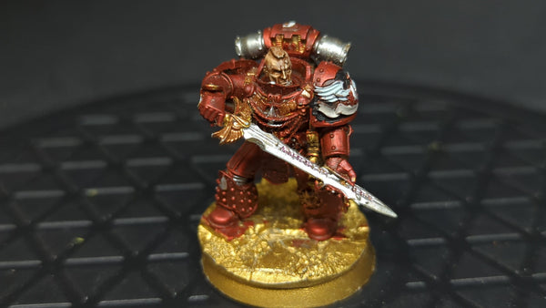 Warhammer 40k Chapter Master Raldoron First Captain of the Blood Angels x1 Painted