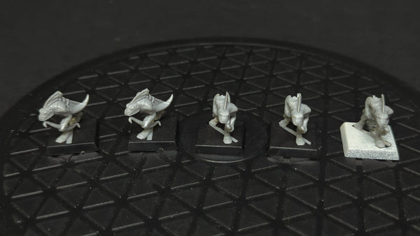 The Old World Lizardmen Skinks (OOP) x5