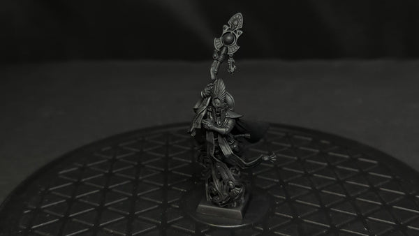 The Old World High Elf Mage (OOP) x1