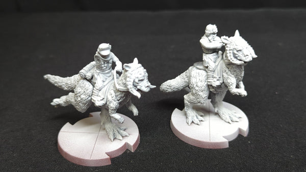 Star Wars Legion SWL40 Tauntaun Riders x2