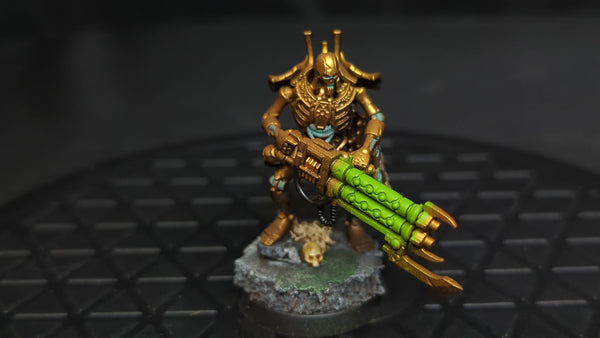 Warhammer 40k Necrons Royal Warden x1 Painted