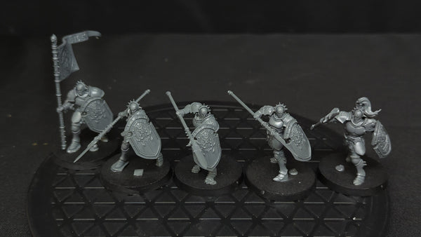 Age of Sigmar Stormcast Eternals Vindictors x5