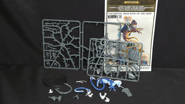 Age of Sigmar Idoneth Deepkin Volturnos x1