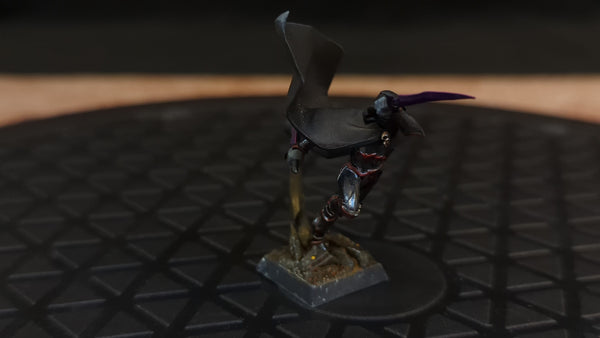 Age of Sigmar Cities of Sigmar Shadowblade Assassin x1 Painted