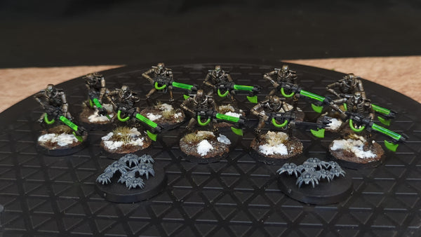 Warhammer 40k Necrons Warriors x10 Painted