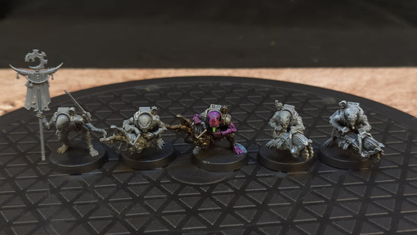 Warhammer 40k Acolyte Hybrids x5