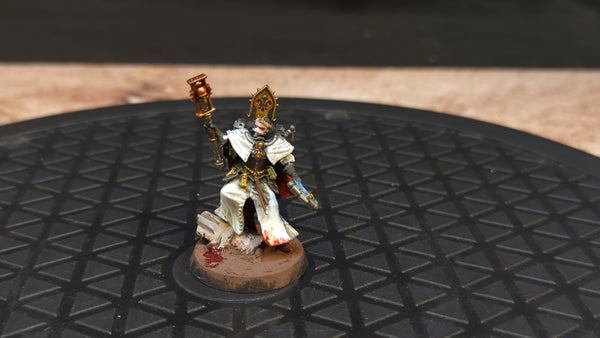 Warhammer 40k Adepta Sororitas Canoness x1 Painted
