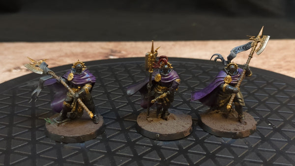 Age of Sigmar Stormcast Eternals Praetors x3 Painted