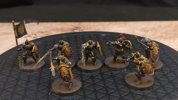 Age of Sigmar Stormcast Eternals Vindictors x7 Painted