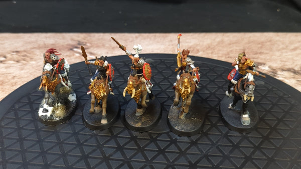 Age of Sigmar Slaves To Darkness Darkoath Fellriders x5 Painted