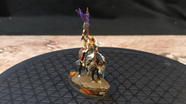 Age of Sigmar Slaves to Darkness Darkoath Chieftain on Warsteed x1 Painted