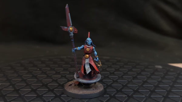 Warhammer 40k T'au Empire Ethereal x1 Painted