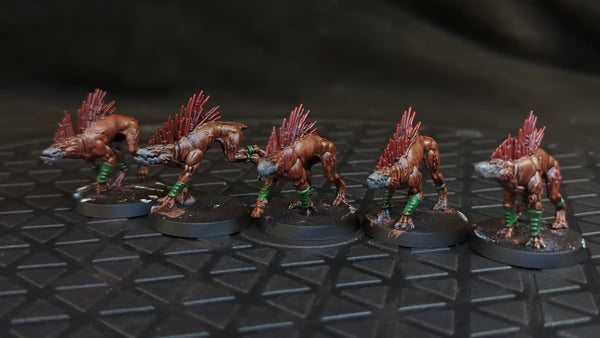 Warhammer 40k T'au Empire Kroot Hounds x5 Painted
