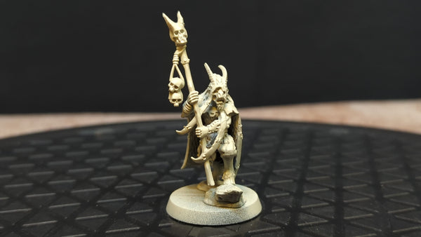 The Old World Beastmen Brayherds Beastman Shaman x1