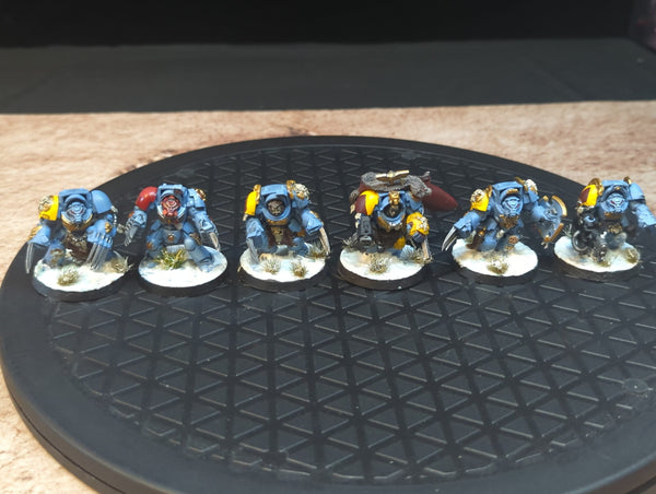 Warhammer 40k Space Wolves Wolf Guard Terminators x6 Painted
